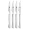 ZWILLING 4-pc Stainless Steel Serrated Steak Knife Set, made in Spain